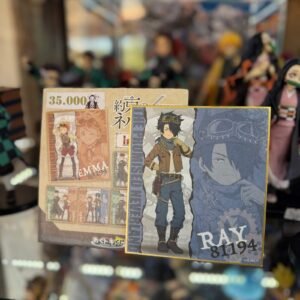 Cuadro de The promised Neverland Ray