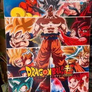 Cuadro de Dragon Ball