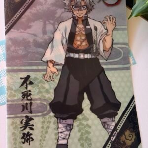 Carpeta de Kimetsu no Yaiba vía Japón