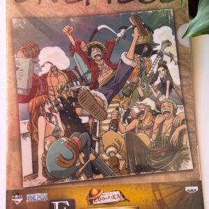 Carpeta de One Piece vía Japón